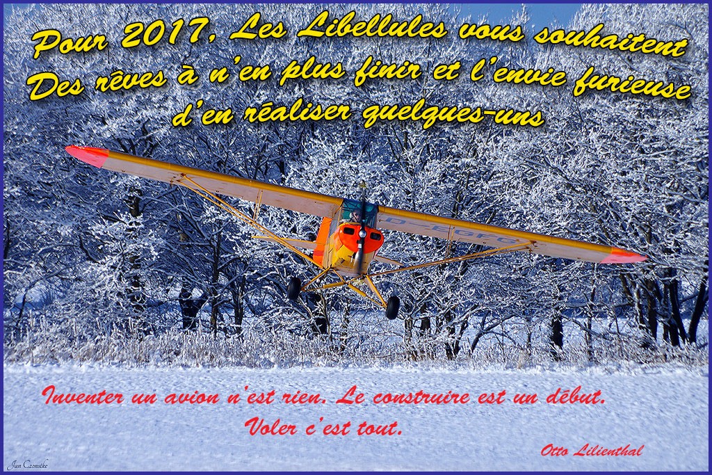 voeux2017